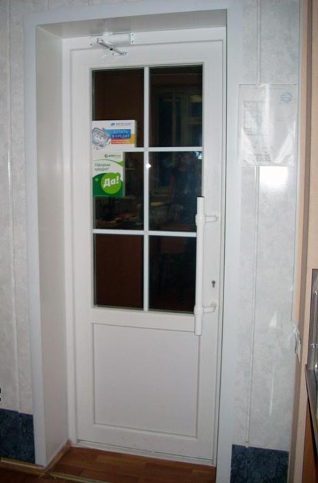 Пластиковая дверь с тонированным стеклом фото